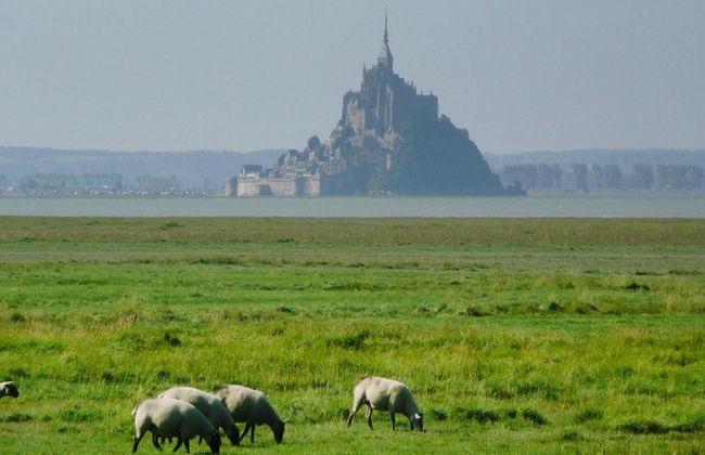 Country House in Normandy Near D-day Beaches - Foto 27