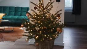 Ferienhaus am Wald - Foto 3