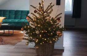 Ferienhaus am Wald - Foto 3