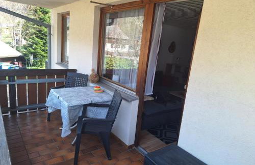 Gemütliche Ferienwohnung in Sankt Blasien - Foto 3