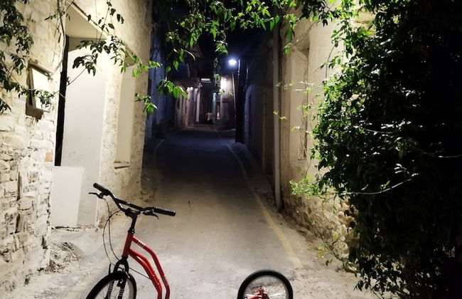 Lazaros Stonehouse - Foto 30