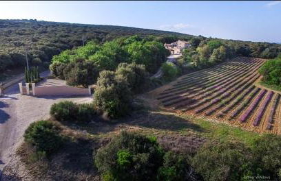 Mas Saint Antoine - Foto 20