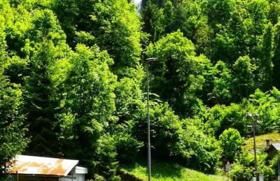 ALLA CASCATA in centro Branzi self check-in parcheggio gratuito coperto - Foto 17