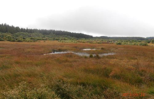 Ferienwohnung Peters - Foto 24