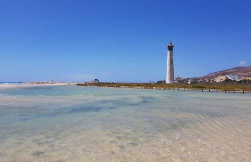 Amsterdam Lovely - Photo 62