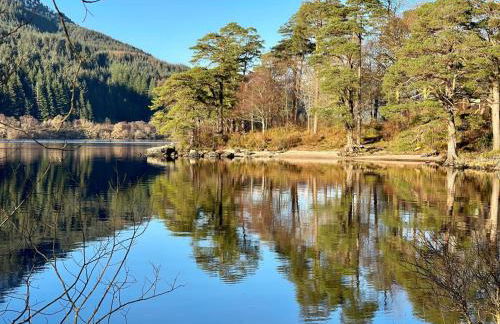 Holy Loch Lodge - Foto 26