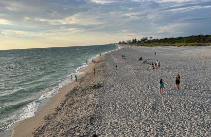 HUGE In-Law Apt Beach Oasis- Private entrance - Foto 40