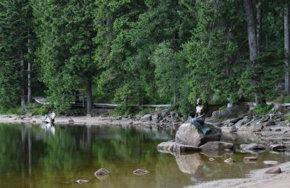 Apartment Rose Sasbachwalden - Foto 7