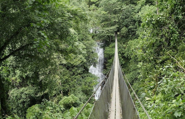 Pura Natura Lodge Arroyo - Foto 51