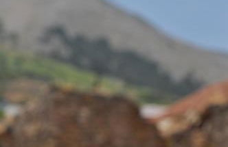 Echo Traditional House - Ηχώ Παραδοσιακό Σπίτι - Foto 41