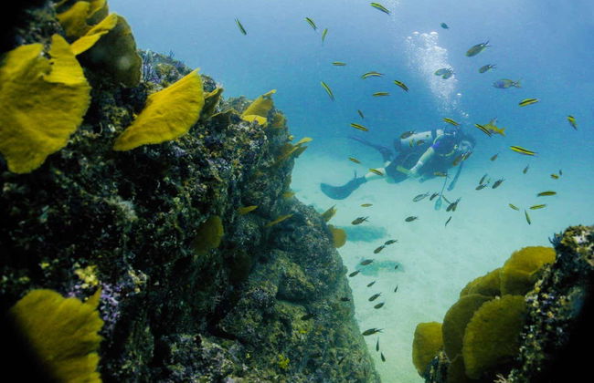 Las Caletas Scuba Diving Introduction - Foto 2