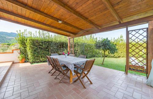 Albero del Pepe 2 - Goelba - Foto 2