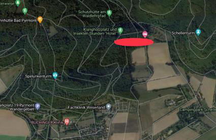 Ferien Langer Grund mitten im Wald - Foto 32