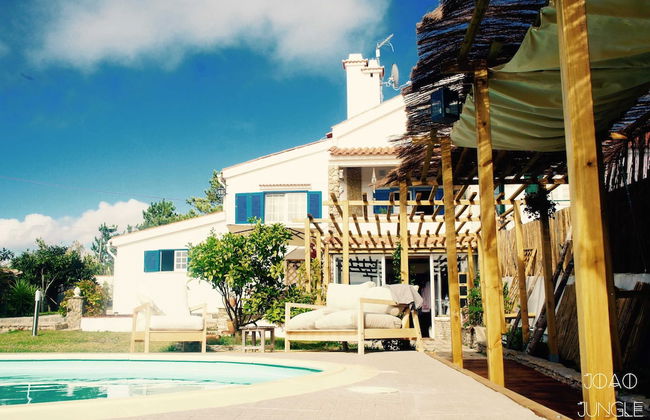 João Jungle - Foto 7