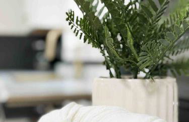 House of Color EVV Stylish Apartments - Foto 18