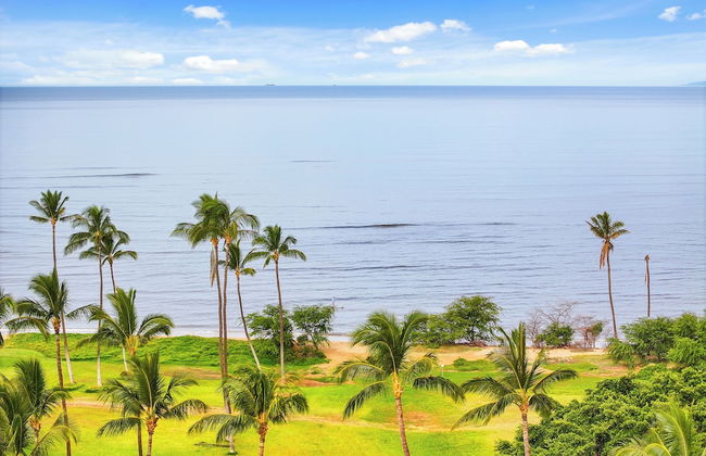 Maui Schooner Resort - Photo 49