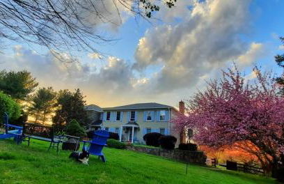 Villa Maud - Foto 16