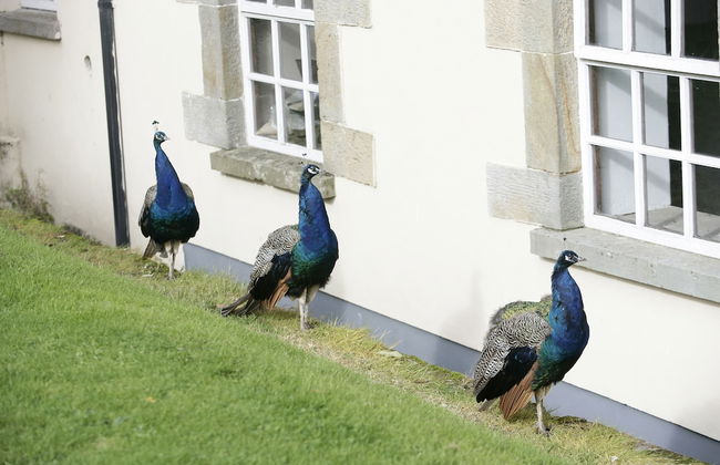 Blessingbourne Country Estate - Foto 76