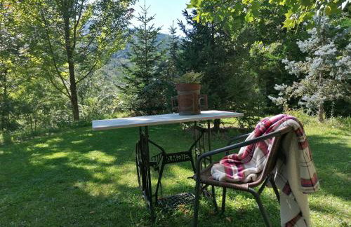 Els Pins d'Abella - Foto 56