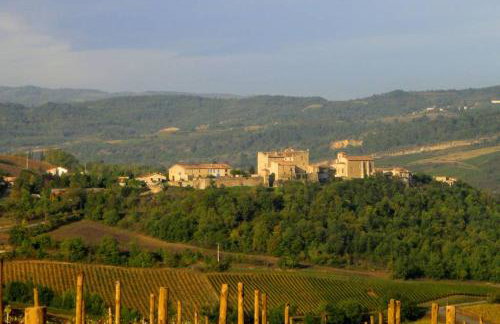 Domaine - Vignoble - Jacuzzi - Sauna - 14 à 18 pers - Foto 44