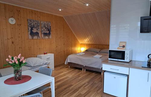 Noclegi Pod Modrzewiem - Foto 1