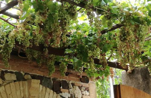 Agriturismo Il Melograno - Foto 24