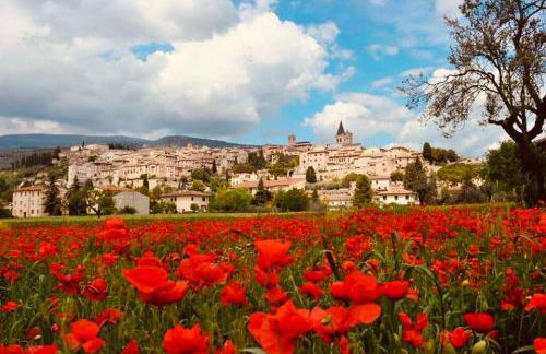 Casa Vacanze Porta Fontevecchia panoramica - Foto 68