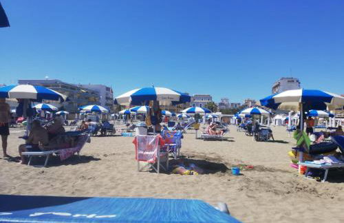 Fenicottero Rosa - Foto 41