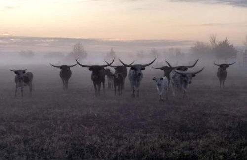 Rustic Tiny House Rental for Weekend Getaways from Dallas - Foto 28