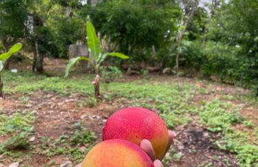 Sítio na Serra de Mulungu - Foto 16