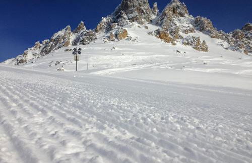 FERMES ESKIMO 1 - Foto 11