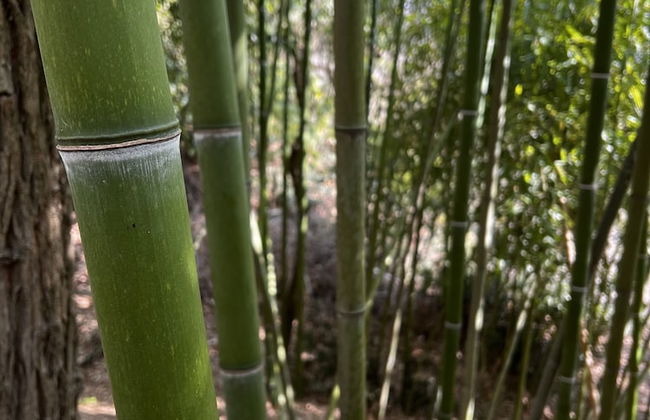 Agriturismo Rio Verde - Foto 47