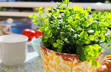 Apartamento El Sueño II - Foto 27