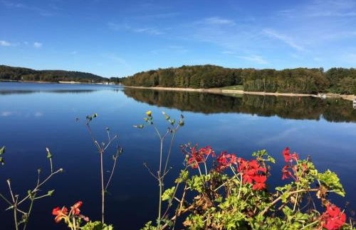 Gîte cocon Vassivière Aux abords du lac - Photo 18