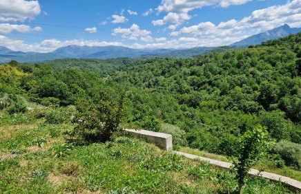 Mini Appartement Colombana - Foto 14