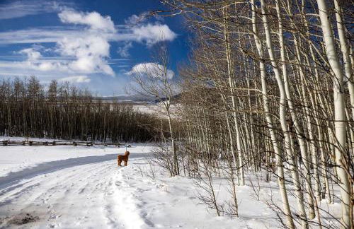 Charming Vacation Rental in the Heart of South Park near Fairplay, Colorado - Foto 39