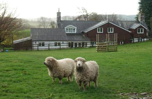 Bryn Y Garreg Cottage - The Wireless Tech Free Farm - Photo 4