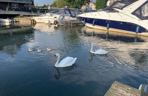 Stunning Classic Dutch Barge near Henley & Marlow - Foto 22