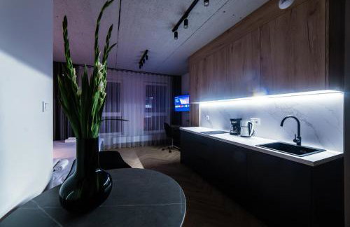 Apartamenty I SORAU Old Town - Foto 35