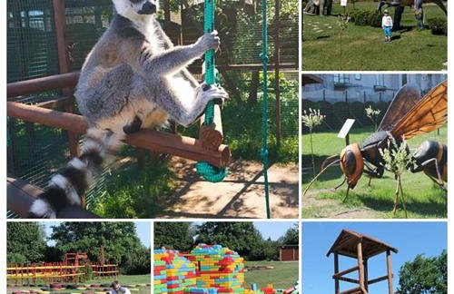 Apartament z ogrodem Camelia - Foto 31