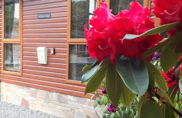 Willow Lodge Auchterarder - Photo 30