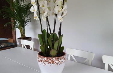 Dreams and friends on the coast of Bilbao. - Foto 14