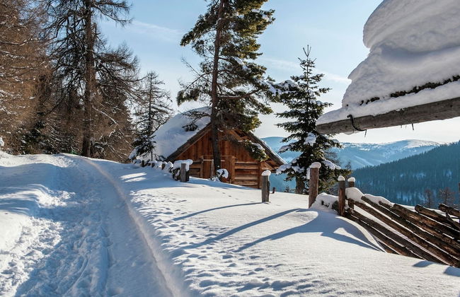 Apartment in Katschberg Near Ski Slopes - Photo 64