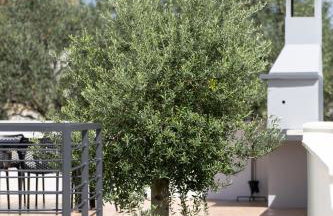 Villa Golden Shine-Primošten - Foto 64