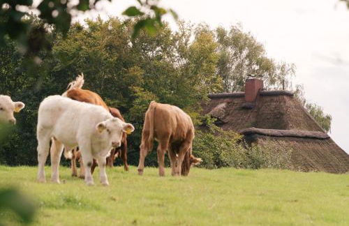 "Reetland" - Haus Hartwig - Photo 71