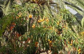 Casa Rural El Cabezo - Photo 25