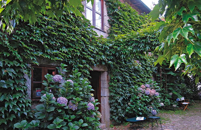 Quinta da Picaria - Foto 36