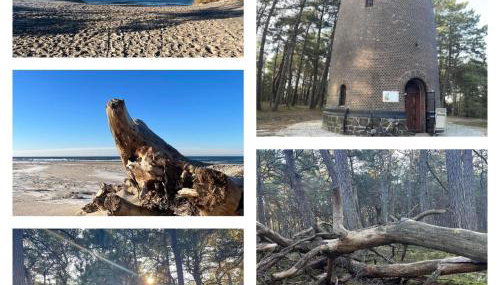 Swojskie Chatki - Leśna Chatka - Foto 4