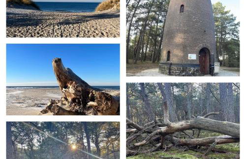 Swojskie Chatki - Leśna Chatka - Foto 4