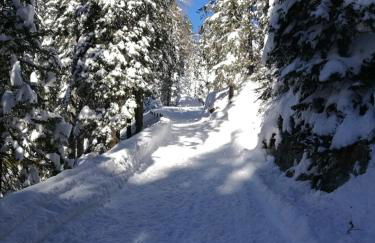 Daniela Apartment - Foto 38